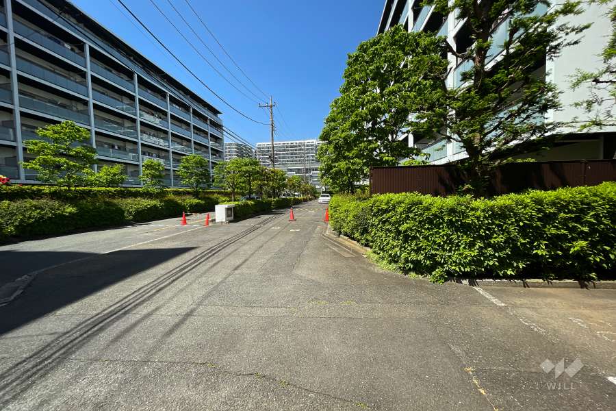 敷地西側の前面道路（北側から）