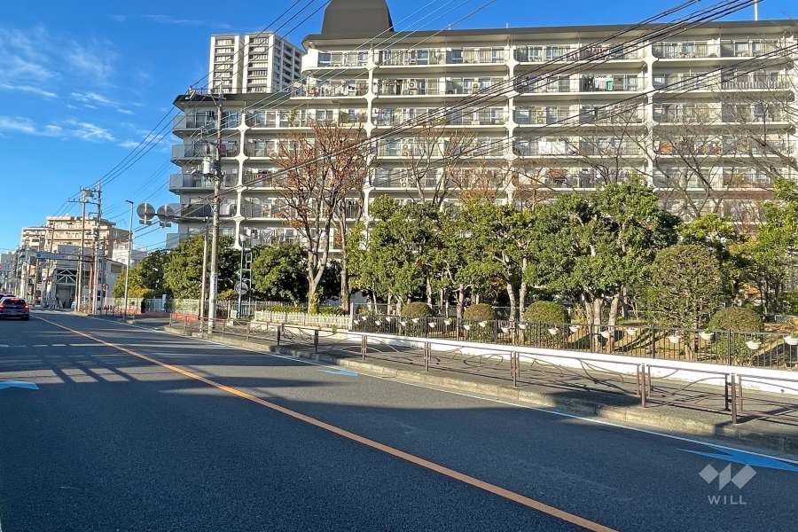 敷地南西側の前面道路（南東側から）