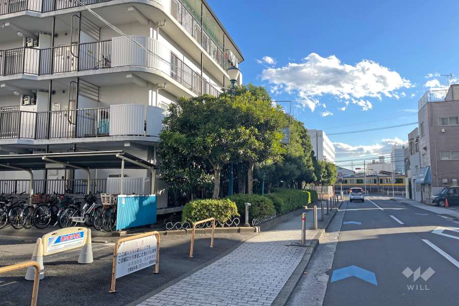 敷地西側の前面道路（北側から）