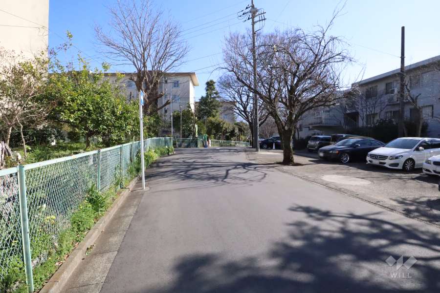 敷地東側の前面道路