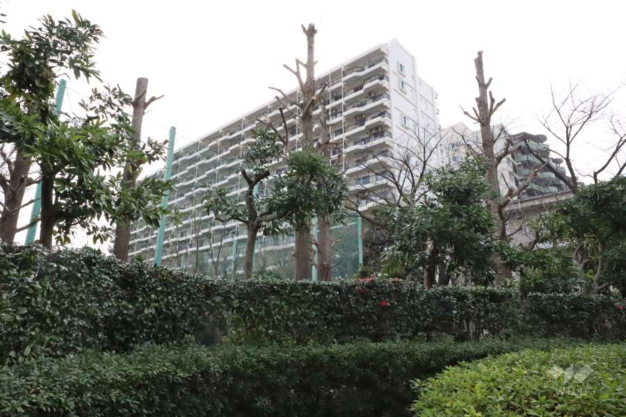 パークシティ溝の口D棟の外観(北東側から）