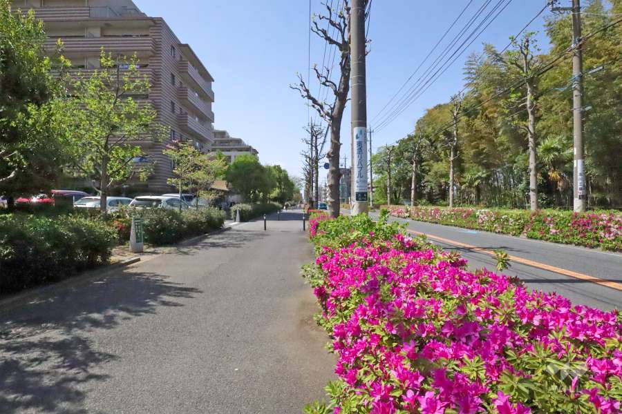 敷地北側の前面道路(東側から)