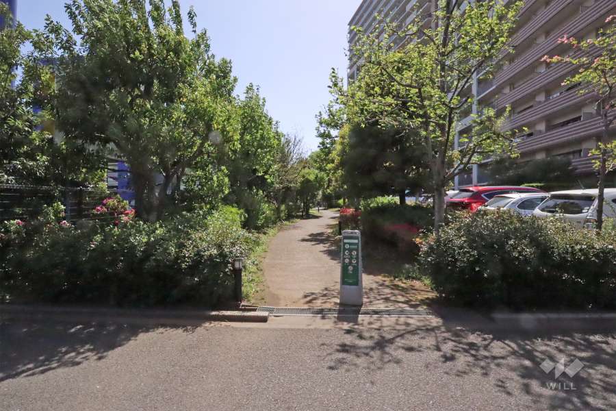 敷地東側の前面道路(北側から)
