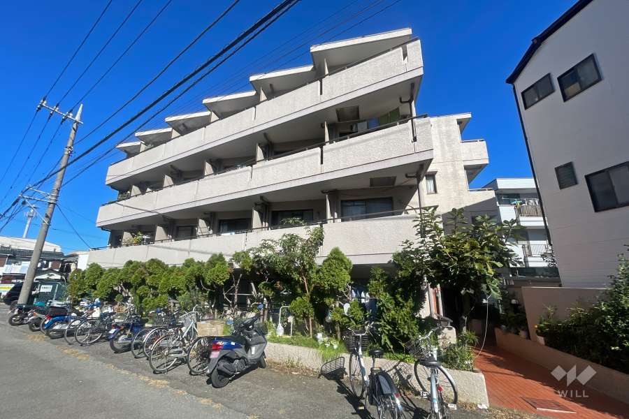 セザール元住吉の外観（南側から）