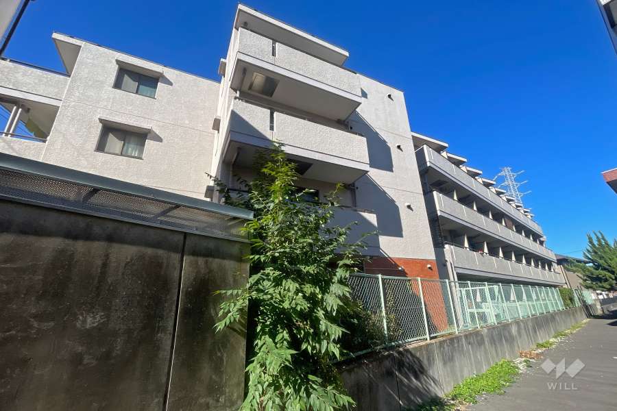 セザール元住吉の外観（南東側から）