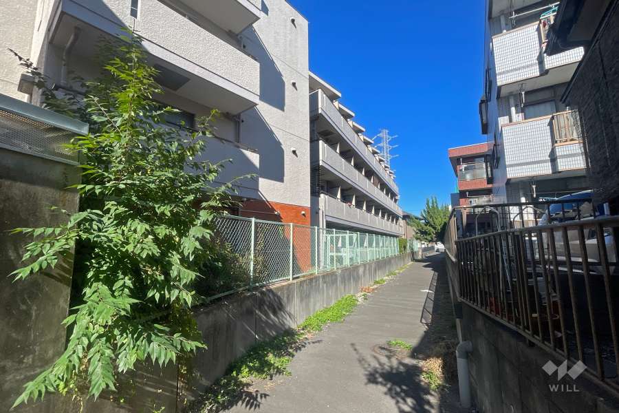 敷地東側の通路