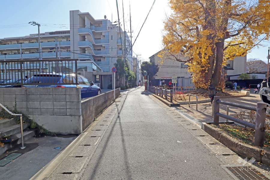 敷地西側の前面道路(北側から)