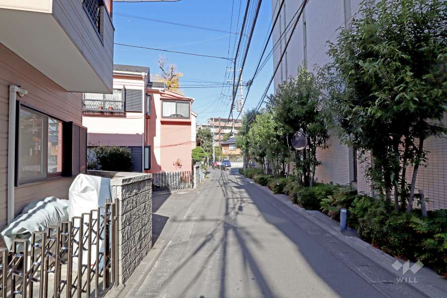 敷地西側の前面道路(南側から)