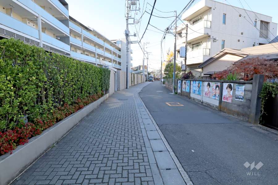 敷地北側の前面道路（東側から）
