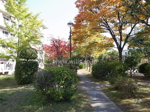 17棟の南側には公園があります。