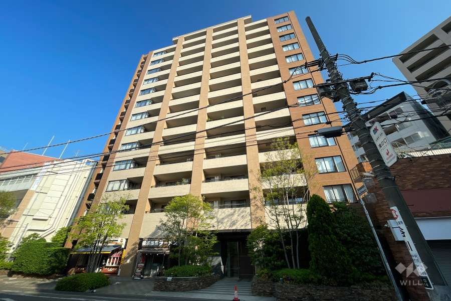 ブランズ溝の口レジデンスの外観（南東側から）