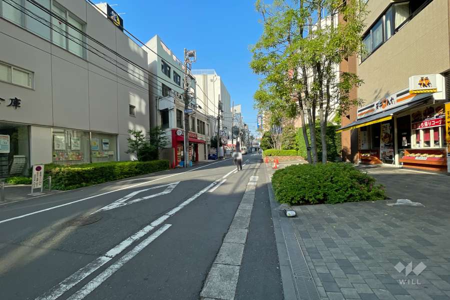 敷地南東側の前面道路（北東側から）