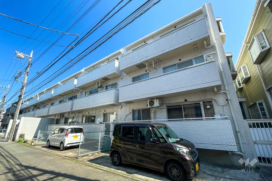 多摩川ハイツの外観（南東側から）　
