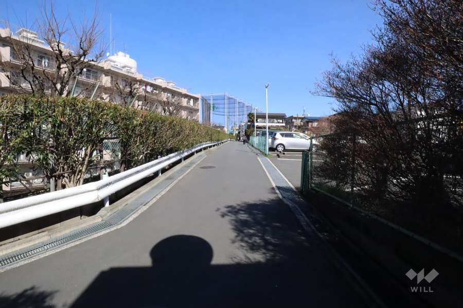 敷地東側の前面道路