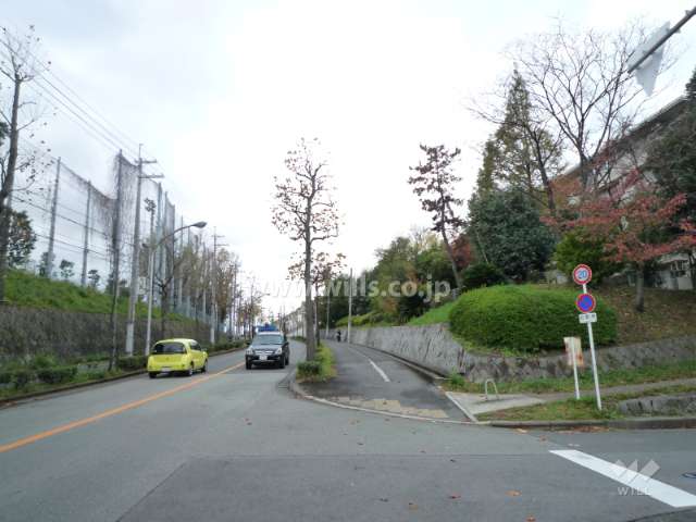 南側を通っている道路