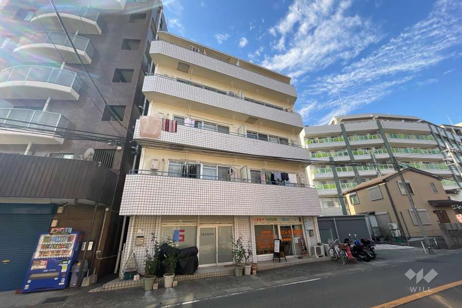 ハイラーク溝ノ口の外観（南東側から）