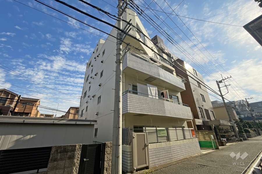 ハイラーク溝の口の外観（北西側から）