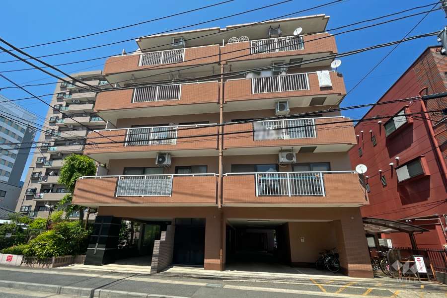 デュエット高津の外観（南側から）