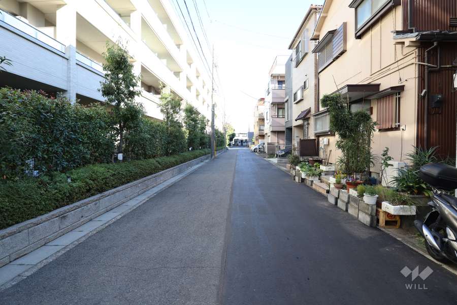 敷地南側の前面道路（西側から）