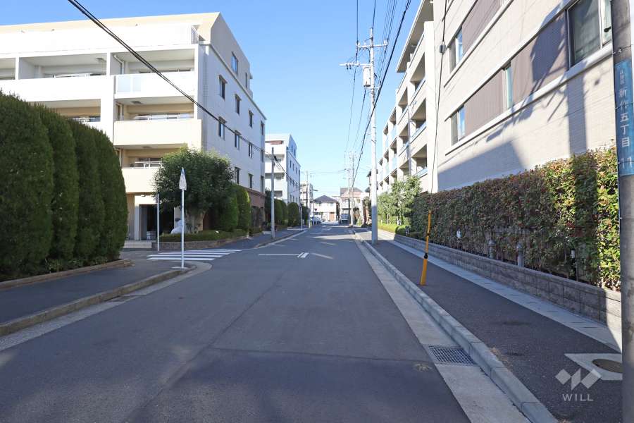 敷地西側の前面道路（南側から）