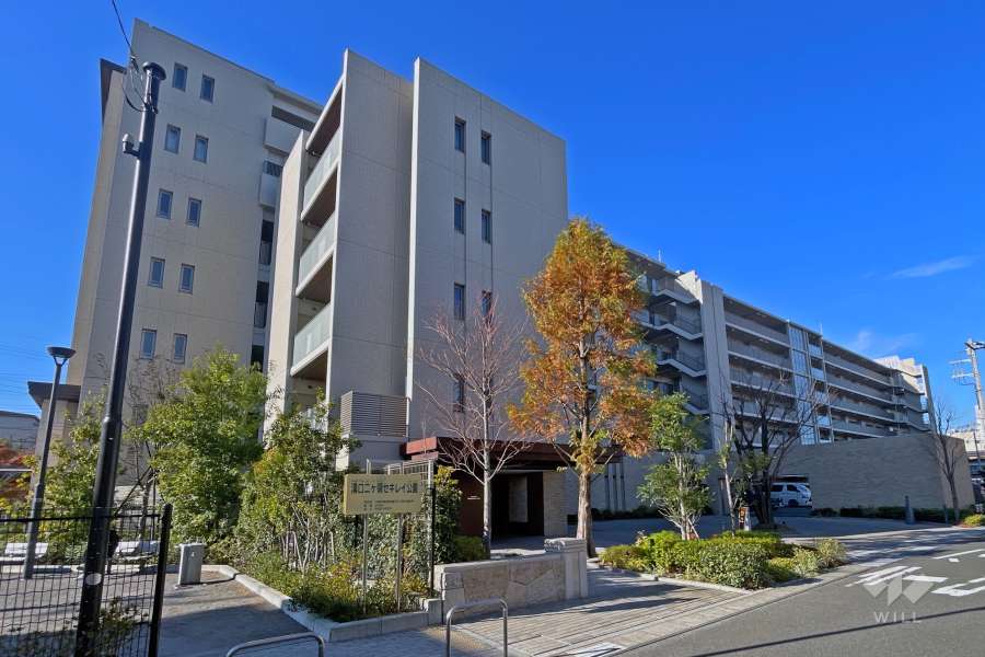 プレミスト溝の口の外観（東側から）