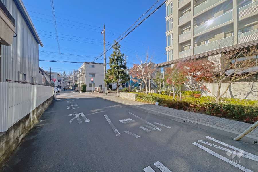 敷地の南東側前面道路（北東側から）