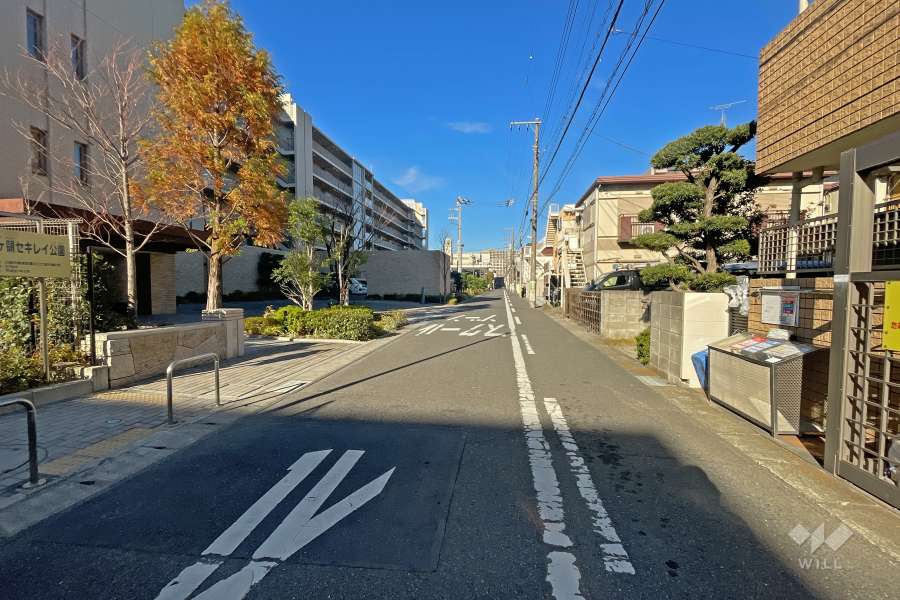 敷地の北東側前面道路（南東側から）