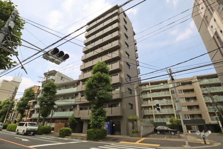 ルーブル高津の外観(南東側)