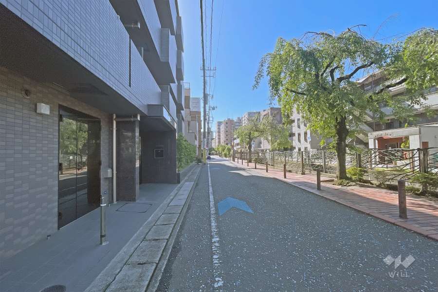 敷地南側の前面道路（西側から）