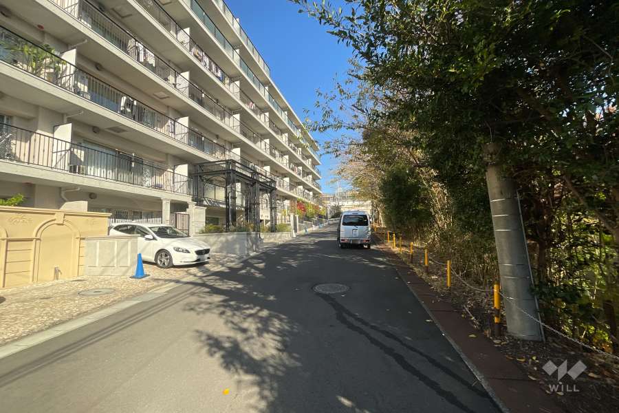 敷地の南東側前面道路（南西側から）