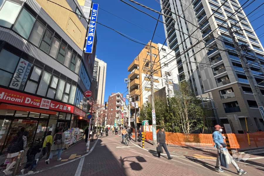 敷地の西側前面道路（南側から）