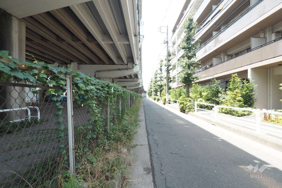 敷地南側の前面道路（東側から）