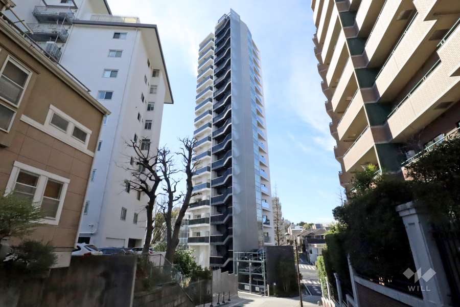 敷地北側の前面道路