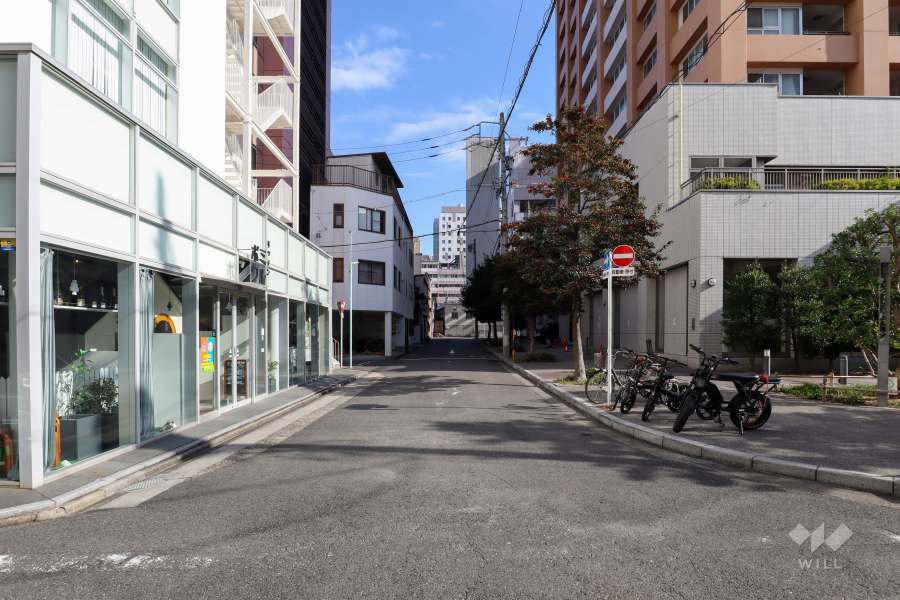 敷地北側の前面道路(西側から)