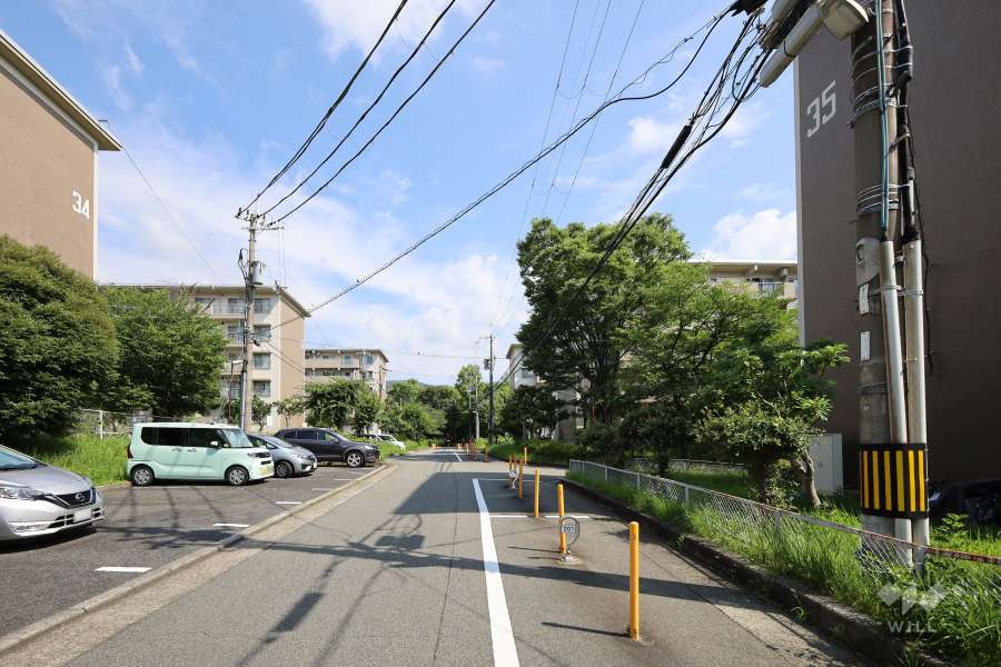 棟西側の前面道路(南側から)