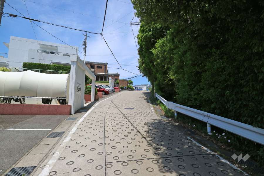 敷地北東側の前面道路(南東側から)