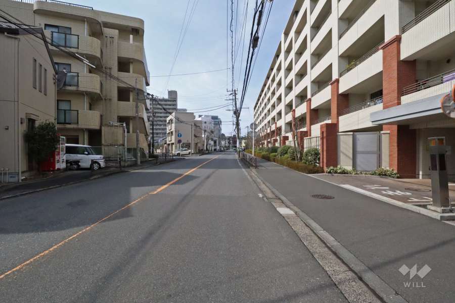 敷地南側の前面道路（東側から）