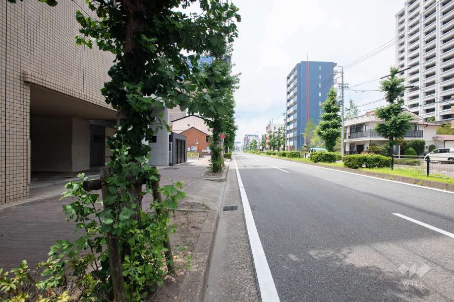 敷地北東側前面道路（南東側から）