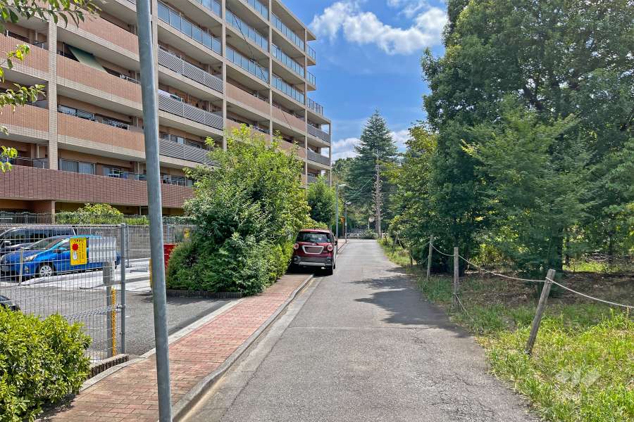 敷地の西側前面道路（北側から）