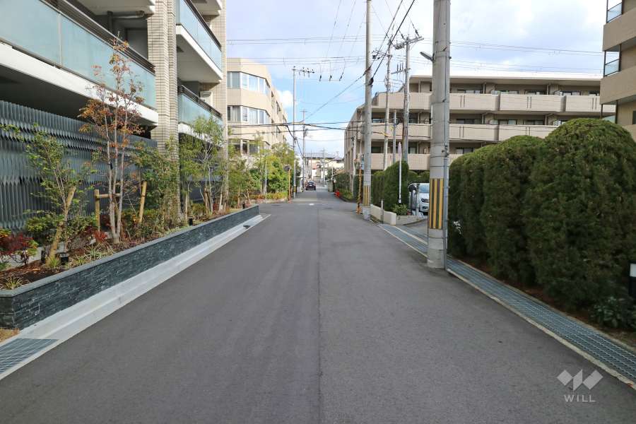 敷地南側の前面道路（西側から）