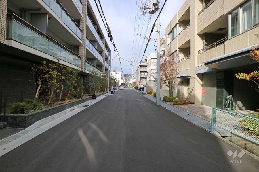 敷地東側の前面道路（南側から）