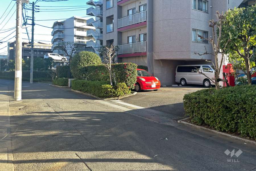 敷地北側の前面道路（西側から）