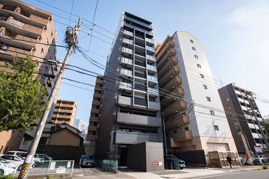ディアレイシャス金山の外観（北西側から）