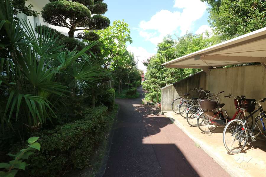 敷地内の通路