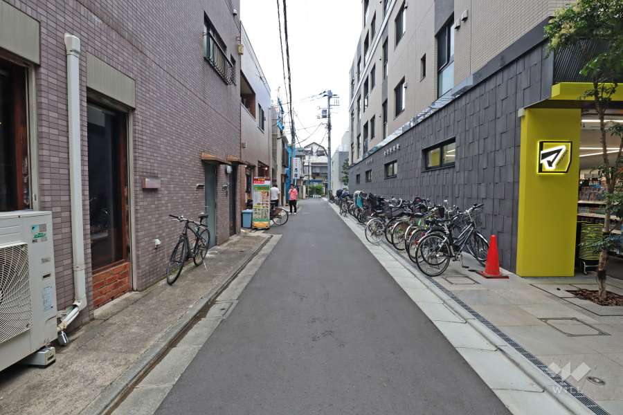 敷地西側の前面道路(南側から)