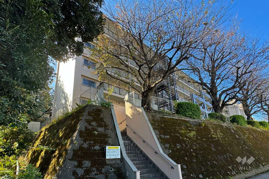 菱興マンションの外観（北東側から）