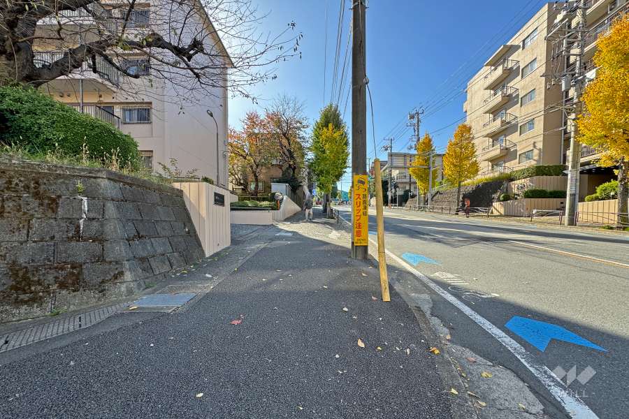 敷地西側の前面道路