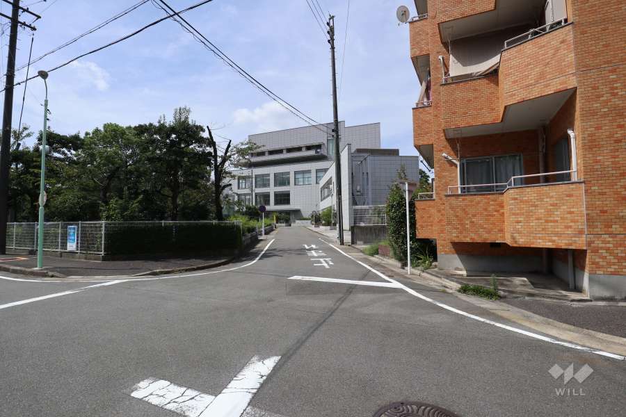 敷地の南側前面道路（東側から）