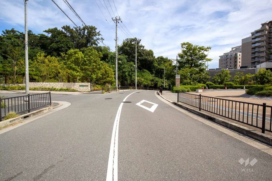 敷地南側の前面道路（西側から）