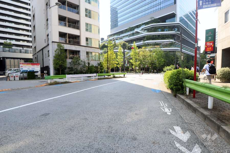敷地北側の前面道路(東側から)